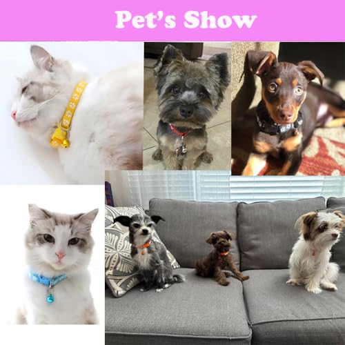 Puppy Dog Collar with Bell Leash Set, Cat Kitten Collars, Mint Green XXS,XS | Paw Print Reflective Dog Collar Leash Set with Bell, Basic Nylon Boy Girls Pet Collar Adjustable For XXS XS S Tiny Puppies - color: mint green