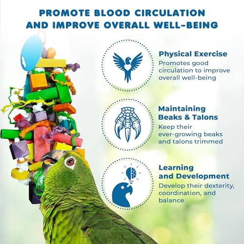 SunGrow Parrot Toy – Bird Foraging & Chew Toy with Wooden Blocks and Cotton Rope, Hanging Cage Accessory for Conures, Budgies, Parakeets & Other Small Birds