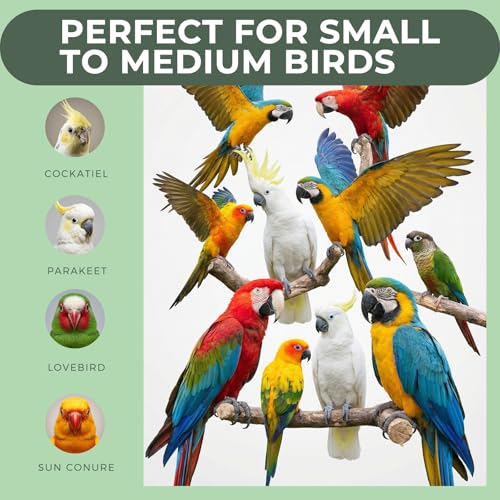 12 Pcs Natural Bird Perches and Shreddable Parakeet Toys, Essential Parrot Cage Accessories with 8 Wood Standsand 4 Shreddable Parakeet Toys, Foraging Shredder and Bird Accessories for Cages - size: 12 Pack