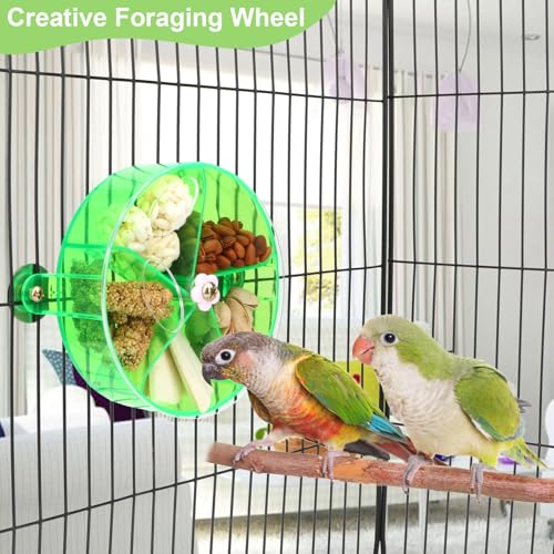 Bird Creative Foraging System Wheel Seed Food Ball Rotate Training Toy for Small and Medium Parrots Parakeet Cockatiel Conure (Green) - color: Green