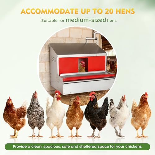 Redants Chicken Nesting Box, Metal Chicken Laying Box with Roll Away Egg Collection, Reversible Wall Mountable Chicken Coop Nesting Boxes for Hens, Ducks, Waterproof, 24"×19.5"×20", Up to 20+ Hens - size: 24.0"L x 19.5"W x 20.0"H