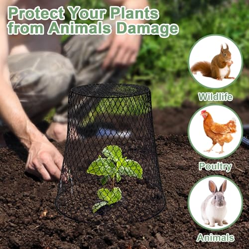 10 Pcs 9.13"×9.13" Chicken Wire Cloche Plant Covers Garden Netting Metal Heavy Duty Plant Protectors from Animals for Keeping Bunnies Chicken Squirrels Birds Other Out