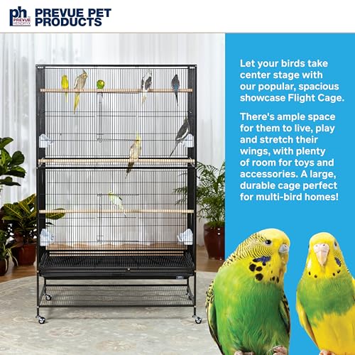 Prevue Hendryx Pet Products Wrought Iron Flight Cage - Big Rolling Bird Cage for Parakeets, Cockatiels, Conures, Lovebirds, Canaries, Finches, Parrotlets, & Caiques, 5 Ft - X-Large, Hammertone Black - color: Black, size: 37.0"L x 23.0"W x 60.0"H