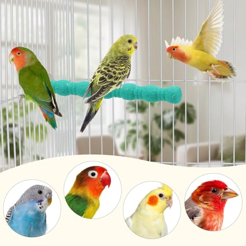 Litewoo Pet Bird Perch Parrot Rough-surfaced Stand Toy Branch Nature Wood Quartz Sand Branches Nail Perch for Small Medium Birds Cockatiel Parakeet Conure Cage Accessories (Green, 6.3in) - color: Green, 6.3in