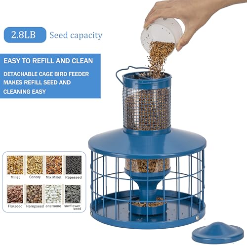 Caged Bird Feeders Squirrel-Proof, Metal, 2.8 Lbs Capacity-Cage Tube Seed Feeders with Tray Outdoor Hanging, Attract Birds,Detachable Cleaning, Starling Proof Wild Bird Feeder（Blue） - color: Blue