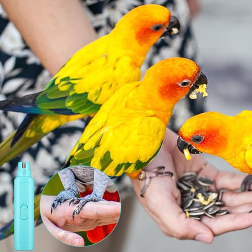 Lasnten 2 Pcs Bird Nail Grinder with Clipper Bird Nail Trimmer File Pet Grooming Tool for Parrot Budgerigars Parakeets Myna Conure Finches Lovebirds (Cyan Blue) - color: Cyan Blue