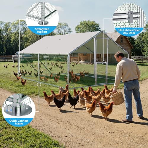 Large Metal Chicken Coop, Outdoor Chicken Run with Cover, 10x13x6.5 FT | Heavy-Duty Poultry Enclosure & Chicken Pen with Split Doors, Galvanized Steel Frame, Free Wire Mesh Fence and Roosting Ladder - size: 118.1"L x 78.7"W x 157.5"H