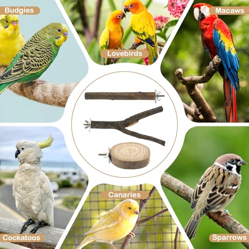 8PCS Bird Perches for Cage Natural Wood Parrot Perch Stand Cage Accessories | Multi-Branch Platform with Fork Toys, Birds Perch Toy for Parakeet Cockatiel Budgie Conures Lovebirds