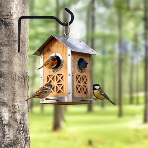 2 Pack Metal Plant Hanger for Wall, Decorative Plant Hooks for Hanging Plants, Indoor Outdoor Wall Plant Holder for Hanging Planters, Bird Feeders Home Decor (Black, 6 in-Straight Hook) - color: Black, size: 6 IN-Straight Hook