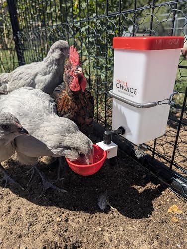 Hen's Choice™ 1L (32 oz) Drinker W/Cup, Nipple, & Wire Bracket for Poultry & Small Animals, Chick Waterer, Red - color: Red/White