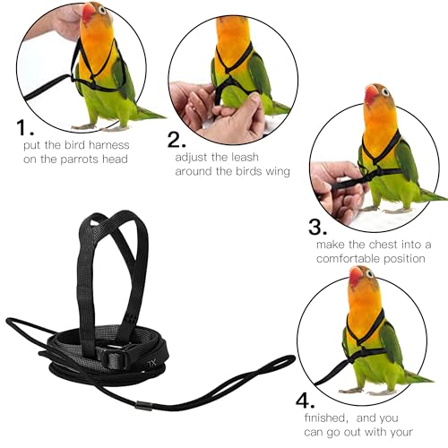 2 pcs Pet Parrot Bird Harness and Leash, Adjustable Training Design Anti-Bite, Outdoor Flying Training Rope Kit for Bird Parrots Fits Birds Chest Between35-62cm /13.78-24.41inch - L (Black) - color: black, size: L