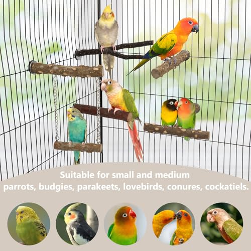 Hypeety Natural Wood Bird Perch for Parakeets Bird Chew Stands for Cage | Natural wood, anti-slip, with hanging swing, fork and T shaped perch, easy to install, suitable for parakeet/cockatiel, 5pcs