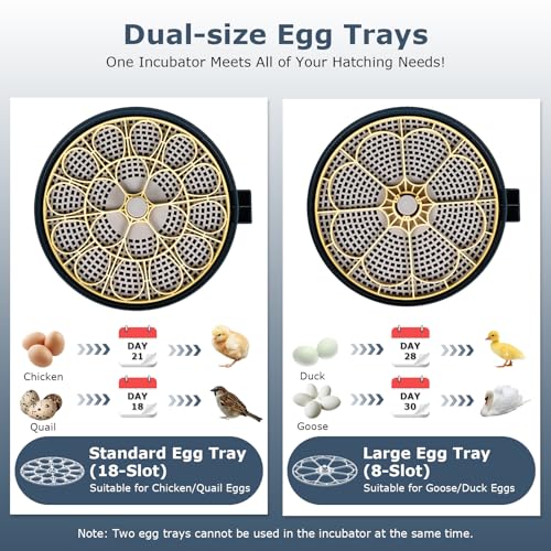 Incubators for Hatching Eggs, 18 Eggs Incubator with Egg Candler, Auto Egg Turner, Temp & Humidity Control, Hatch Day, Auto Water Refill, 2 Size Egg Tray, 360° Viewing for Chicken, Duck, Quail - size: 18 Eggs
