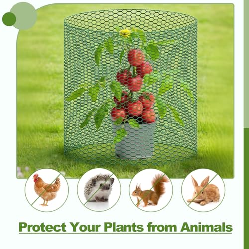 All-in-One 200 Inch Plant Protectors from Animals Kit - 0.85mm Heavy Duty Chicken Wire Cloche,Free-Cut Wire Mesh Roll Includes Pliers, Gloves, Ties, Stakes for Custom Outdoor Cages (16 * 200 Inch) - size: 16*200 Inch