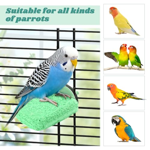 4 PCS Bird Beak Grinding Stone Perch Platform for Parrots | Grinding Stone Perch Set Helps Support Natural Beak And Claw Wear For Budgies, Parakeets, Cockatiels, And Conures.