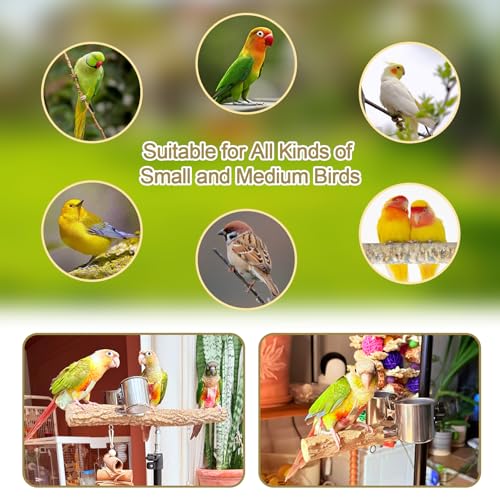 3-Layer 16-63 Inch Height Adjustable Bird Perch Pepper Wood Birds Training Perch Stand Parakeet Perches Indoor and Outdoor Parrot Stands for Small to Medium Bird - size: Three-tier floor stand