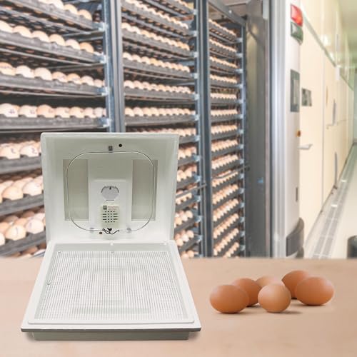 Farm Innovators 2100 Heated Still Air Incubator for 4 Dozen Eggs with Built in Hygrometer, Solid State Circuitry, and 2 Large Viewing Windows (2 Pack) - color: Still Air, size: 2 Pack