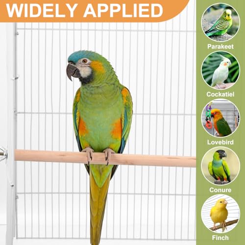 Kisangel Bird Cage Perches 5 Pack Natural Wood Parrot Perch Set with Built-in Bolts and Wing Nuts Claw Grinding Stand Toys for Parakeet Cockatiel Budgie Finch 11.81In Length