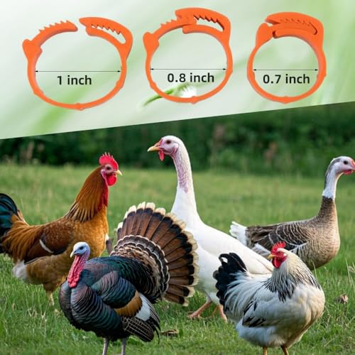 DoubleWood Large Poultry Leg Bands, 60 Pcs Adjustable Chicken Leg Bands Clip on Leg Rings for Chicken, Duck, Guinea, Goose, Gamefowl, Turkey, 20-25mm