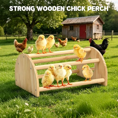 Pine Chicks Perch with Mirror, Strong Chick Jungle Gym Roosting Bar, Chicken Perch Toys for Coop and Brooder, Training Perch Toys for Large Bird, Parrot, Macaw, Hens (Large) - size: Large