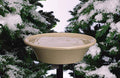 Allied Precision Industries 14B Four Seasons Heated Bird Bath with EZ Tilt Deck Mount and Pole Mount, 14-Inch