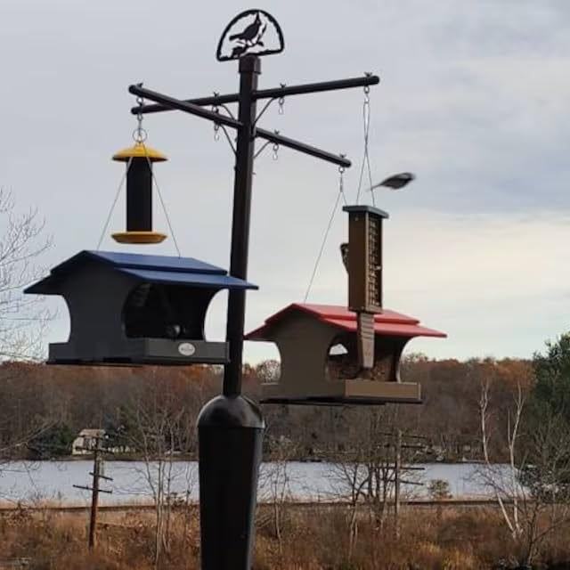 Squirrel Stopper Deluxe Squirrel Proof Bird Feeder Pole with Patented Spring Baffle, Heavy Duty Galvanized Steel Pole System with Auger, Raccoon Proof, Holds Up to 8 Feeders and Accessories - Black