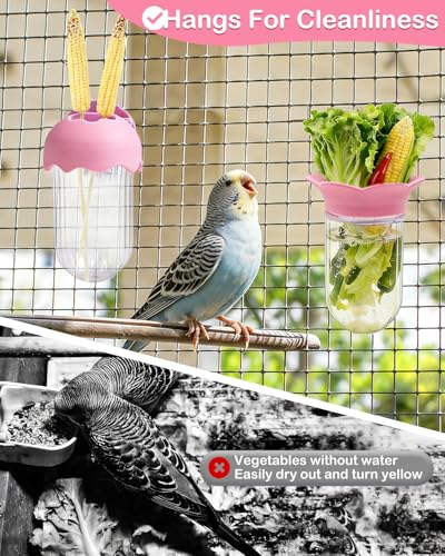 2Pcs Bird Cage Vegetable Feeder, Hanging Veggie Holder with Hydration Feature to Maintain Freshness, Easy-Clean Clip Feeder for Parakeet, Parrot, Lovebird, Budgie(Pink) - color: Pink