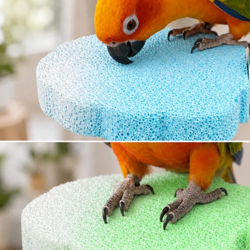 2 Pcs Bird Beak & Claw Trimming Stone, Rough Pumice Perch for Small Birds | Non-Slip Rough Pumice Stone Perch for Beak & Claw Trimming, Ideal for Cockatiels, Lovebirds, Conures & Small Birds