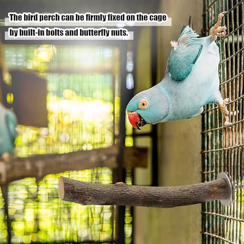 8 Pack Natural Wood Bird Perches,Parrot Perch Stand & Platform, Stand Bird Toys for Conures Budgies Finches Cockatiels Small Birds Exercise Training