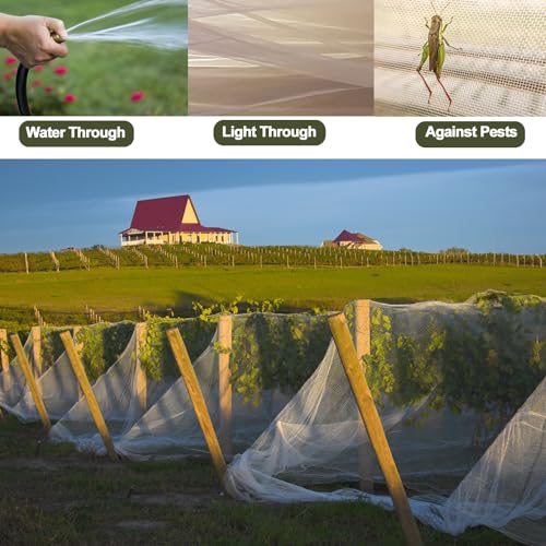 Rohuis Garden Netting Pest Barrier, 10x50 FT Ultra Fine Mesh Insect Netting | Plant Row Cover for Raised Beds, Vegetables, Blueberry Bushes and Fruit Trees,Use for Greenhouse,Seedlings,Porch and Balcony
