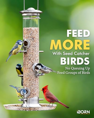 iBorn Bird Feeders Seed Catcher for Outside Hanging 6 Port Bird Feeder for Cardinal Birds Aluminium Metal,Brushed Nickle Finishing 14 Inch 6 Port (Seed is not Included) - color: Brushed Nickle, 14 inch, 6 Ports