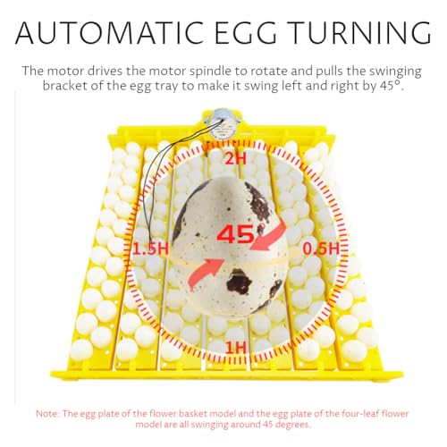 56 Egg Incubator, Automatic and Adjustable Egg Turning, Incubator for Chicken Eggs, for Hatching Poultry Chicken Duck Bird Quail (16.92x16.33x1.81 in Yellow 110V)