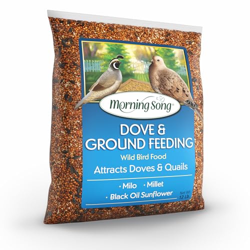 Morning Song Dove & Ground Feeding Wild Bird Seed, 12 lb | Dove, Quail & Pigeon Wild Bird Food for Outside Feeders - size: 12 Pound (Pack of 1)