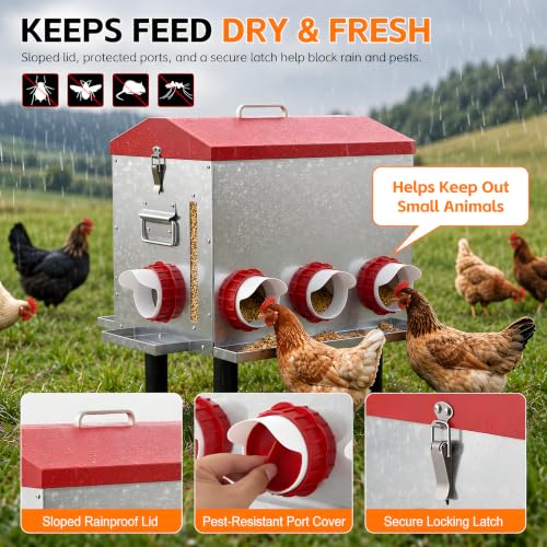 55 LB 10-Gallon Automatic Chicken Feeder, Large Metal Poultry Feeder with Window, 4-Sided No-Waste Feeding Design, Rust-Resistant Steel with Adjustable Legs for Outdoor Coops