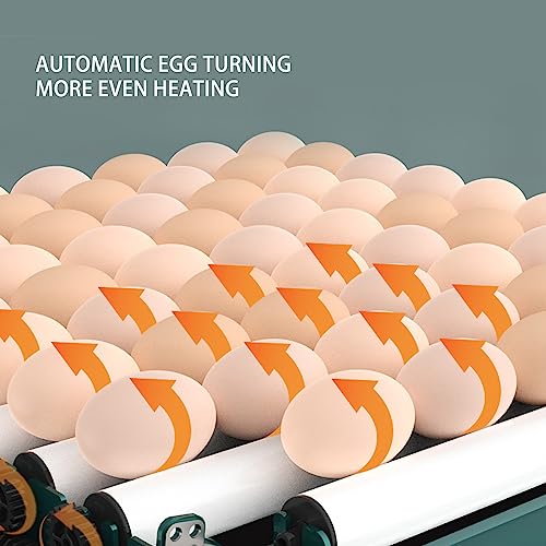 Zerodis Automatic Egg Turner, LED Egg Incubators Automatic Egg Incubators Display Dual Power Supply Egg Incubator Hatches Chicken Duck Quail Eggs (US Plug 110V 10 Eggs) - size: US Plug 110V 10 Eggs