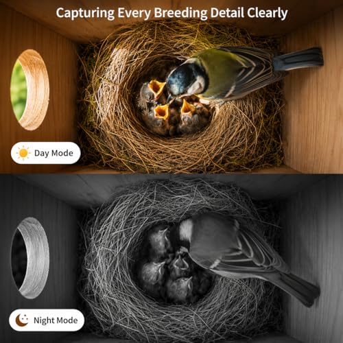 Smart Bird House with Camera - Solar Powered AI Bird Feeder with 4MP Color Night Vision, AI Species Recognition & IP66 Waterproof, Ideal Gift for Bird Lovers | 4MP Color Night Vision Camera, AI Bird Recognition, Solar Powered, 2.4GHz WiFi, Easy Setup, Sma