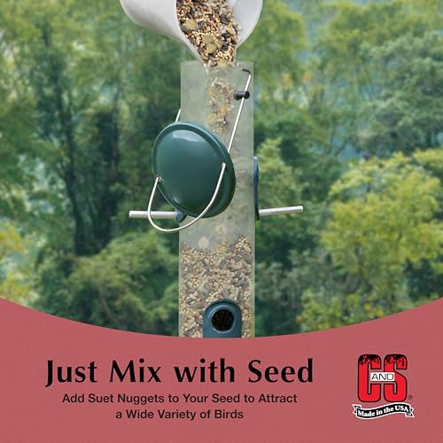 C&S Wild Bird Peanut Suet Nuggets Mega Box, 8 Pounds - size: 8 Pound (Pack of 1)
