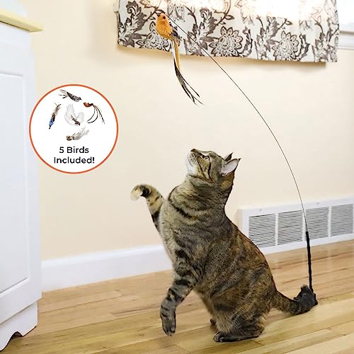 Whiskertons Interactive Bird Simulation Cat Toy Set, Interactive Cat Toys for Indoor Cats, Cat Feather Toy, Self-Holding Suction Base, 5 Replacement Birds, Feathers & Bells, Realistic Bird Impression