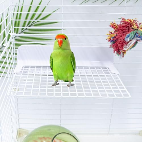 Bird Accessories for Cages, Iron Wire Standing Platform with Installation Accessories for Cage, Parrot Perch for Budgies, Cockatiels, Lovebirds, Green Cheeks, Small to Medium Birds