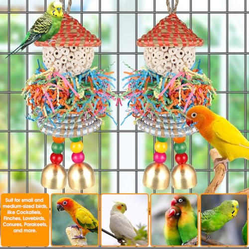 BBjinronjy 2PCS Bird Toys Parrot Foraging Shredder Hanging Toys Sola Balls with Bell for Small Parrots Parakeets Cockatiel Conures Love Birds Budgie Cage Toy - size: Medium D