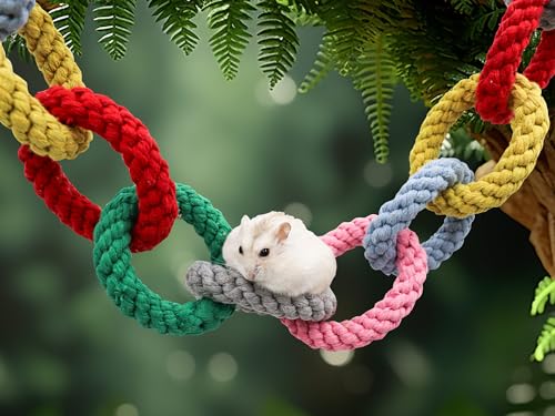 Dnoifne Sugar Glider Hanging Twelve-Ring Climbing Toys, Colorful Swing Toys, Cage Accessories for Ferret Hamster Squirrel Chinchilla Parrots - size: 12 rings(42.1 Inch)