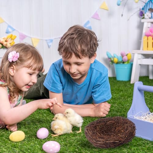 16 PCS 7 Inch Artificial Bird Nest for Crafts, Handicraft Rattan Bird's nest, Small Bird Nest, Bird's Nest Decorating Kit for Holiday, Table, Garden, DIY Terrarium Decor - size: 16 PCS 7 Inch