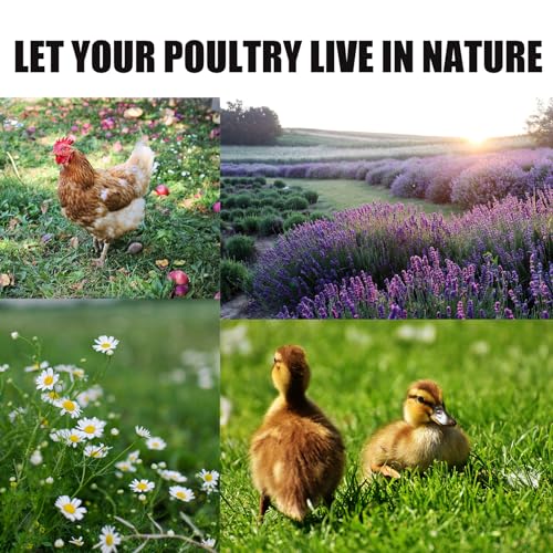 MIUPOO Chicken Coop Bedding,Chicken Nesting Herbs,Natural Blend of 8 Premium Dried Herbs for Fresh Nest Box, Fragrant Dried Herbs for Poultry Habitat,8 Ounces Per Bag.