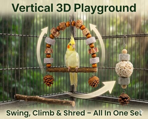 2 Pack Natural Bird Toys Set - Arch Wood Swing & Sola Ball Shreddable Toy - Foraging Hanging Perch with Pine Cones & Pumice Stone Beak Trimmer, Cage Accessories for Cockatiel, Conure, Parakeets - color: Wood A(Sola Ball Set)