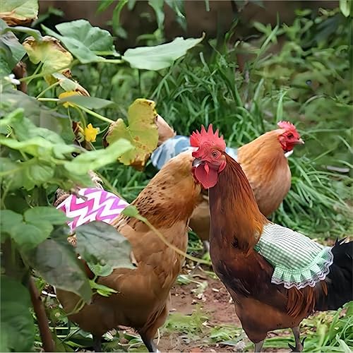 6pcs Chicken Saddles for Hens Protection - Hen Apron, Poultry Saver, Protector, Sweater, Vest, Clothes