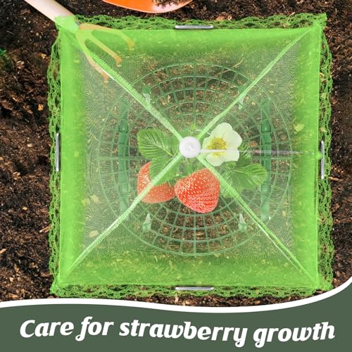 4 Sets Strawberry Plant Support with Mesh Plant Cover,Strawberry Growing Racks Sets with Iron Plant Nails and Storage Bag for Garden Strawberry Vegetables(Green Net - Round) - color: Green Net - Round