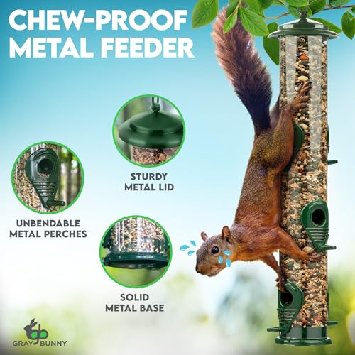 Gray Bunny Squirrel Proof Bird Feeders for Outdoors 6 Port Metal Tube | Bird feeder squirrel proof, locking lid & adjustable hanger, chew-proof, weather resistant, easy clean - color: Green