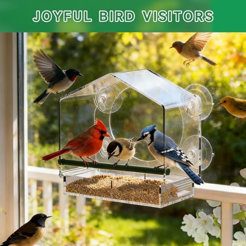 Window Bird Feeders (Large & Small) Plus Hummingbird Waterers（3-Piece Set） Lure Various Birds, Offer Easy Food & Water Access. Extra-Strong Suction Cups, Easy to Mount, Perfect for Outdoor Use - size: 3-piece set