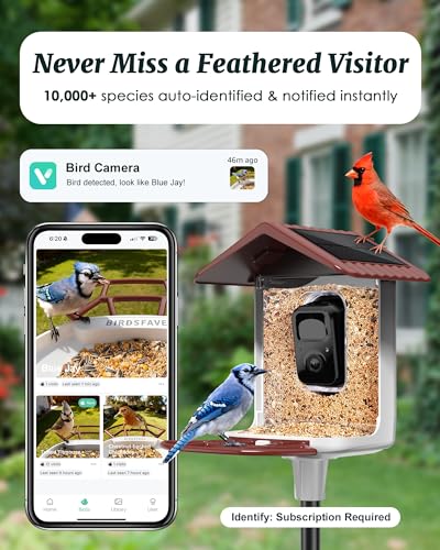 Bird Feeder with Camera Solar Powered 2K Video with 32GB Card Auto Capture | Instant App Alert, AI Identify, Easy Refill, 1.8L Capacity, IP65 Weatherproof, Pole/Bracket Mount, 3 DIY Add-ons, 2.4G Wifi - color: Red