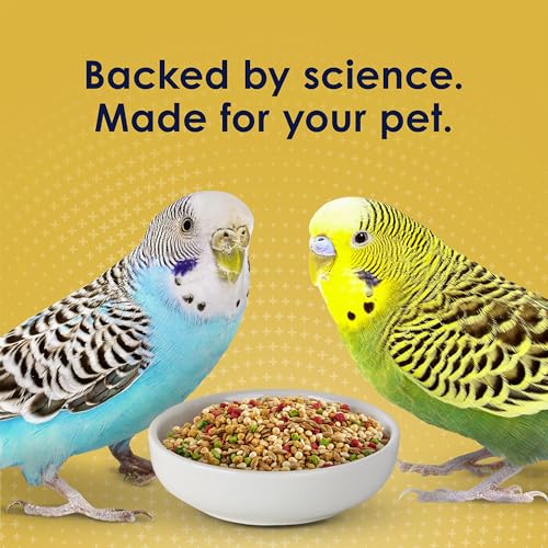 Kaytee Forti-Diet Pro Health Egg-Cite! Nourish+Protect Parakeet Bird Seed | Balanced digestion. Parakeet bird food with real egg. Parakeet food for breeding, molting, with prebiotics